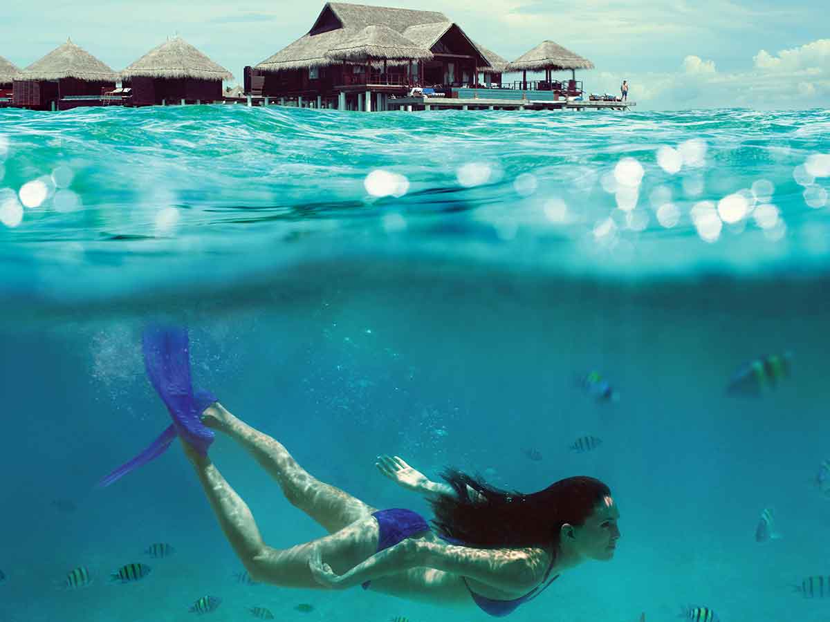 taj-exotica-swim taj-exotica-swim